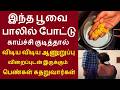 Do You Know What Happens To The Body If You Drink This Flower In Milk Benefits Of Thuthi Flower