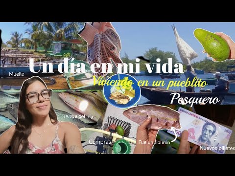 Un día tranquilo y poco productivo 😄⛵🐟✨ | La vida en la Ciénaga de Zapata 