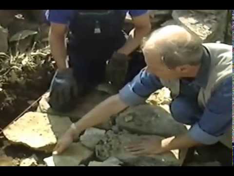 Walls of Stone: How to Build Drystone Walls and Rock Fences