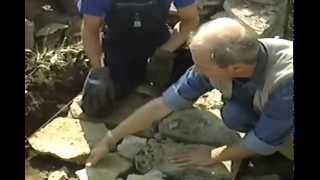 Walls of Stone: How to Build Drystone Walls and Rock Fences