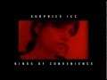 Kings of Convenience - Surprise Ice 