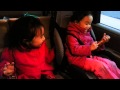 Peg Plus Cat V 1