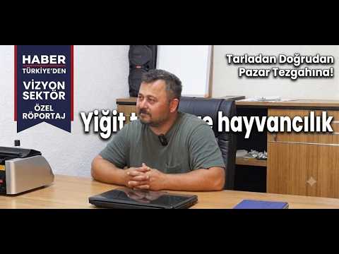 Gebze’de Üretimin ve Bereketin Adresi: Yiğit Tarım ve Hayvancılık
