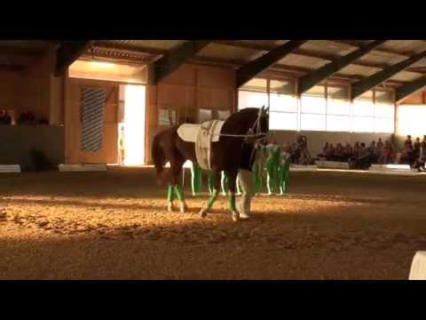 Oberbayerische Meisterschaften 2014 - Gilching Junior I