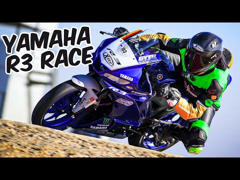42PS RACEBIKE | Yamaha R3 Race