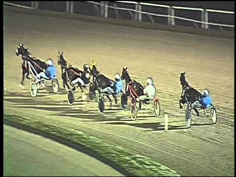 Trotto 07/01/2016 - prova di riqualifica