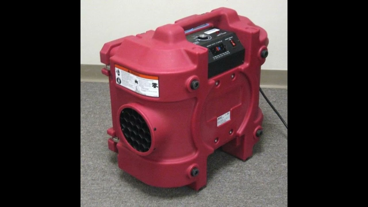 Proper Mold Removal Techniques