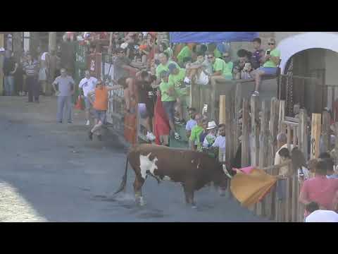 Festejos taurinos en directo