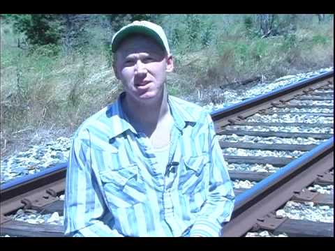 Deep Thoughts by B. David Vos - Dolphins