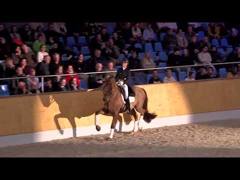 Va Bene   Vechta 2025