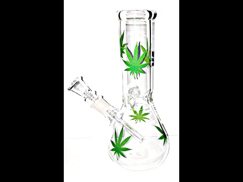 Newzenx Glass Water Pipe Bong Full Kit Set 8 Inch Multi Leaf Bong With Full Smoking Accessories