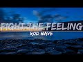 Rod Wave - Fight The Feeling (Clean) (Lyrics) - Full Audio, 4k Video