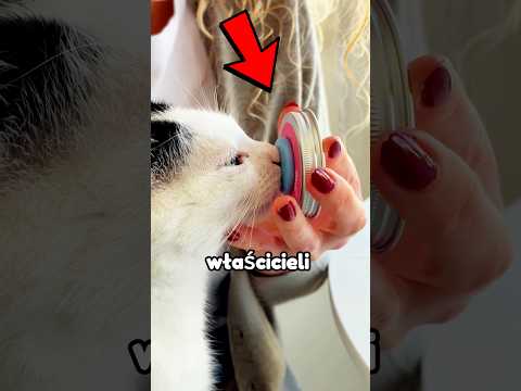 JEŚLI MASZ PUPILA POWINIENEŚ TO MIEĆ!😱🦮