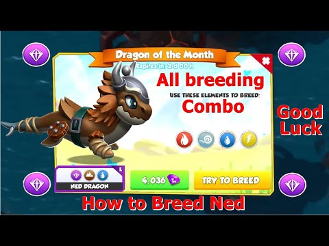 How to Breed Ned Dragon-Dragon Mania Legends | All Breeding Combo | DML