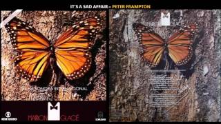 IT&#39;S A SAD AFFAIR - PETER FRAMPTON