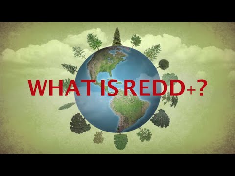 Emission reduction and removal (err) - credit trading, (art ...