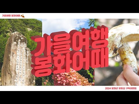 [구독 이벤트] 가을여행~봉화어때~