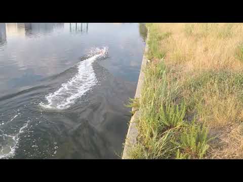 Napan rc 1715 prop abc