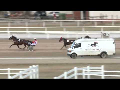 2022.02.19. 02. futam - ZALA SZÉPE DÍJ