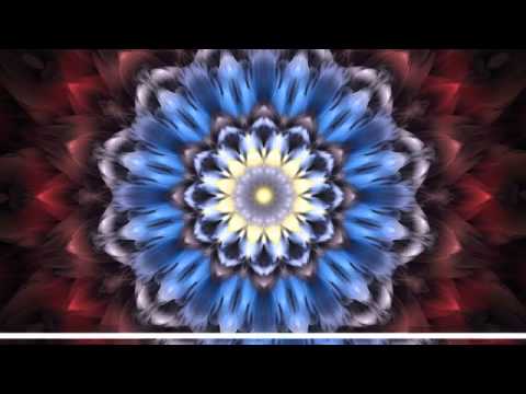 21 Sou Beija-Flor - Hinário Flores de São João - Cristina Tati