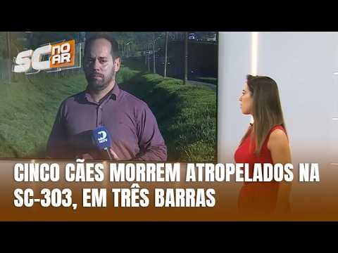 Cinco cães morrem após atropelamento em Três Barras, no Norte do Estado