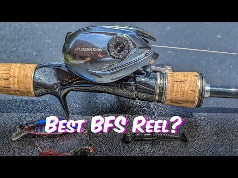 Should a Beginner Buy the 22 Shimano Aldebaran?  Long Term BFS Reel Review