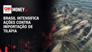 Vídeo: Agricultura: Tilápia do Vietnã traz risco sanitário ao Brasil | MONEY NEWS