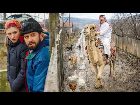 Afacere cu Lapte de Cămilă #3chestii