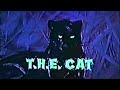 Classic TV Theme: T.H.E. Cat (Lalo Schifrin)