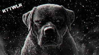 Download lagu Dark Minimal Techno Trip Live Radio 24/7 mixed by RTTWLR mp3 Download lagu Dark Minimal Techno Trip Live Radio 24/7 mixed by RTTWLR mp3