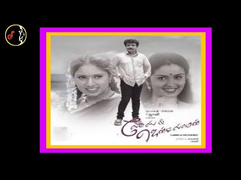 Alai Alai | அலை அலை அலையாய் அலையுது மனசு | BHARANI | Ladies And Gentlemen Movie | 2001 |