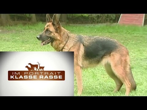 Krankheit HWS Symptome und Behandlung Gelenke an den Beinen Finger