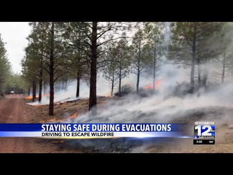 Staying safe during fire evacs: what goes into a go-bag?