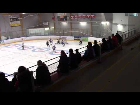 05 AAA Leki75 Lions   Jukurit Keltainen 270816