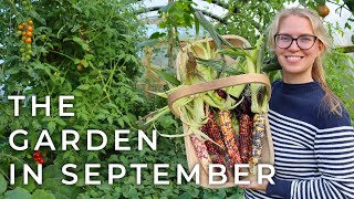 The Garden in September // Honeybees, No-Dig Beds, New Composting Area