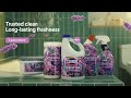 Clorox Scentiva Lavender Jasmine Bleach For A Clean Fresh Home