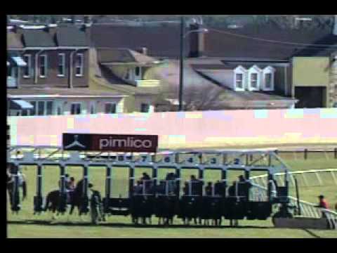 Pimlico 04/06/13 Race 7 - Mister Diz Stakes