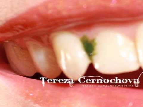 Tereza Černochová - Pár svící