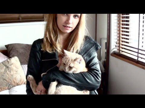 New Mulberry Bayswater, Mr Bear the Cat and the French Connection Sale!