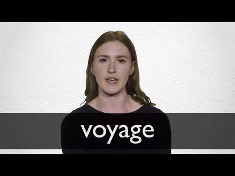 voyage definition mean