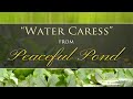 "Water Caress" from PEACEFUL POND by Dean Evenson