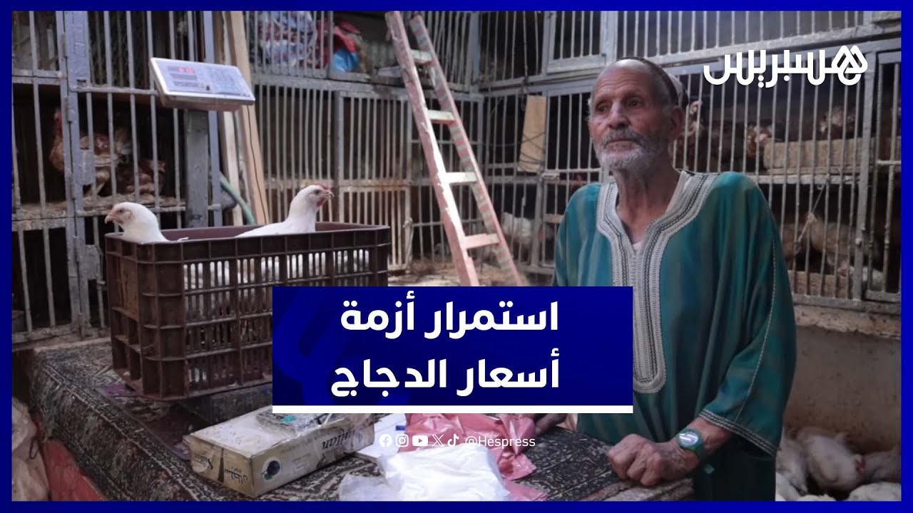 الأسواق المغربية تسجل ارتفاع أسعار الدجاج.. وتوضيحات من المهنيين thumbnail