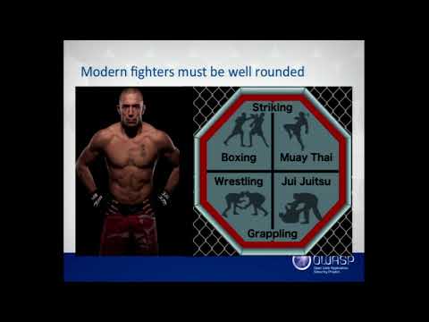 SPArring with the Security of Single Page Applications