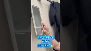 Cruise Hack!! 🚨 Car visor mirror + magnets. 🧲