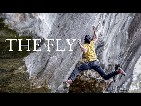The Fly v13