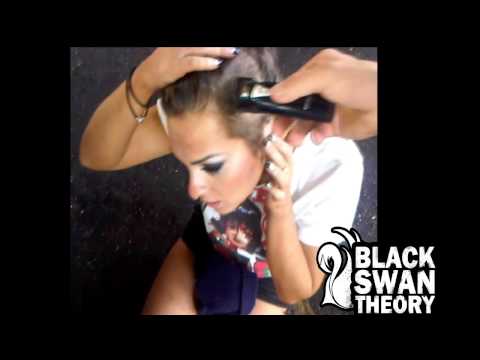 Black Swan Theory - 