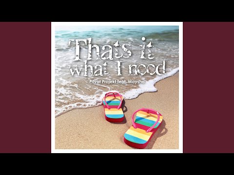 That's It What I Need (Radio Edit)