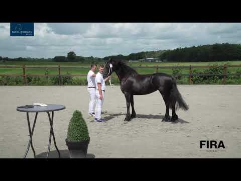 Locatiekeuring Stal Harry van Middelaar (HVM) 6-7-2020