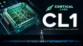 AI Video