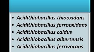 Dominio Bacteria: Phylum Proteobacteria19 - Clase Gammaproteobacteria - Familia Acidithiobacillaceae